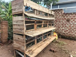 15 Rabbit Cages