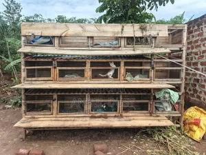 15 Rabbit Cages