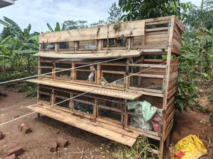 15 Rabbit Cages