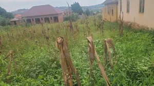 Plot in Bukasa for Selling on Sentema Road