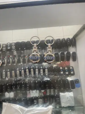 Volvo Car Key Holder