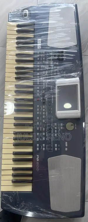 Korg Pa-500