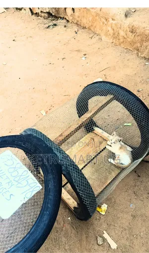 Poultry/Pet Cages
