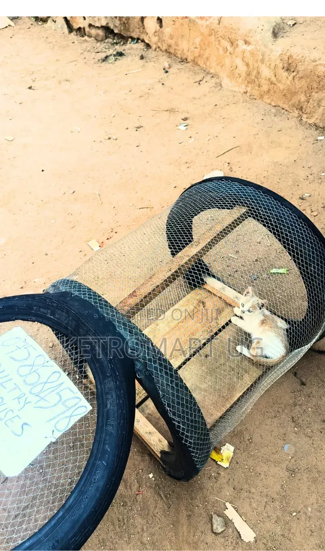 Poultry/Pet Cages
