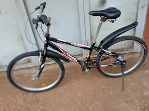 Mountain Bike Size 24 (Age 9+ )