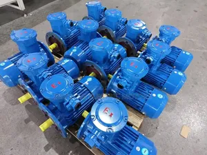 Electric Motors