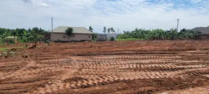 Wakiso Townlet Estate