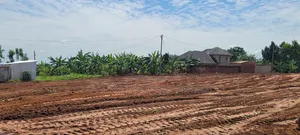 Wakiso Townlet Estate
