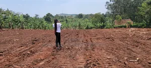 Gobero Muguluka
