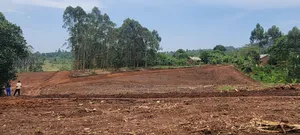 Gobero Muguluka
