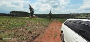 Gobero Kati-Kamu