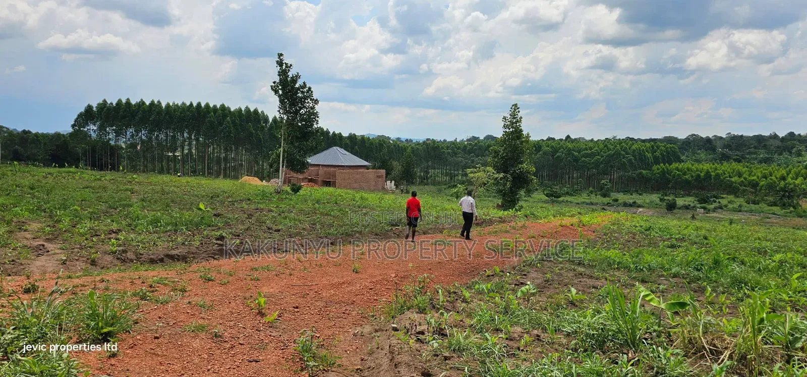 Gobero Kati-Kamu