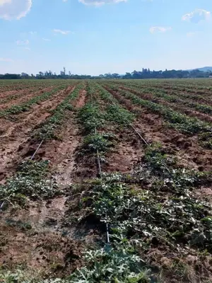 3 Titled Acres for Sale in Baale Kayunga
