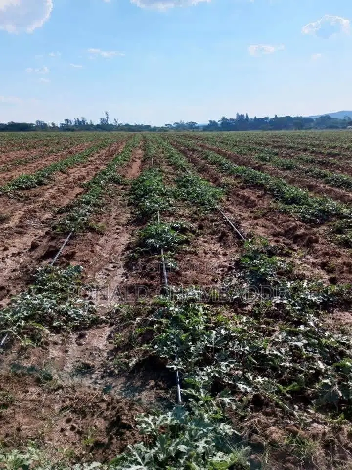3 Titled Acres for Sale in Baale Kayunga