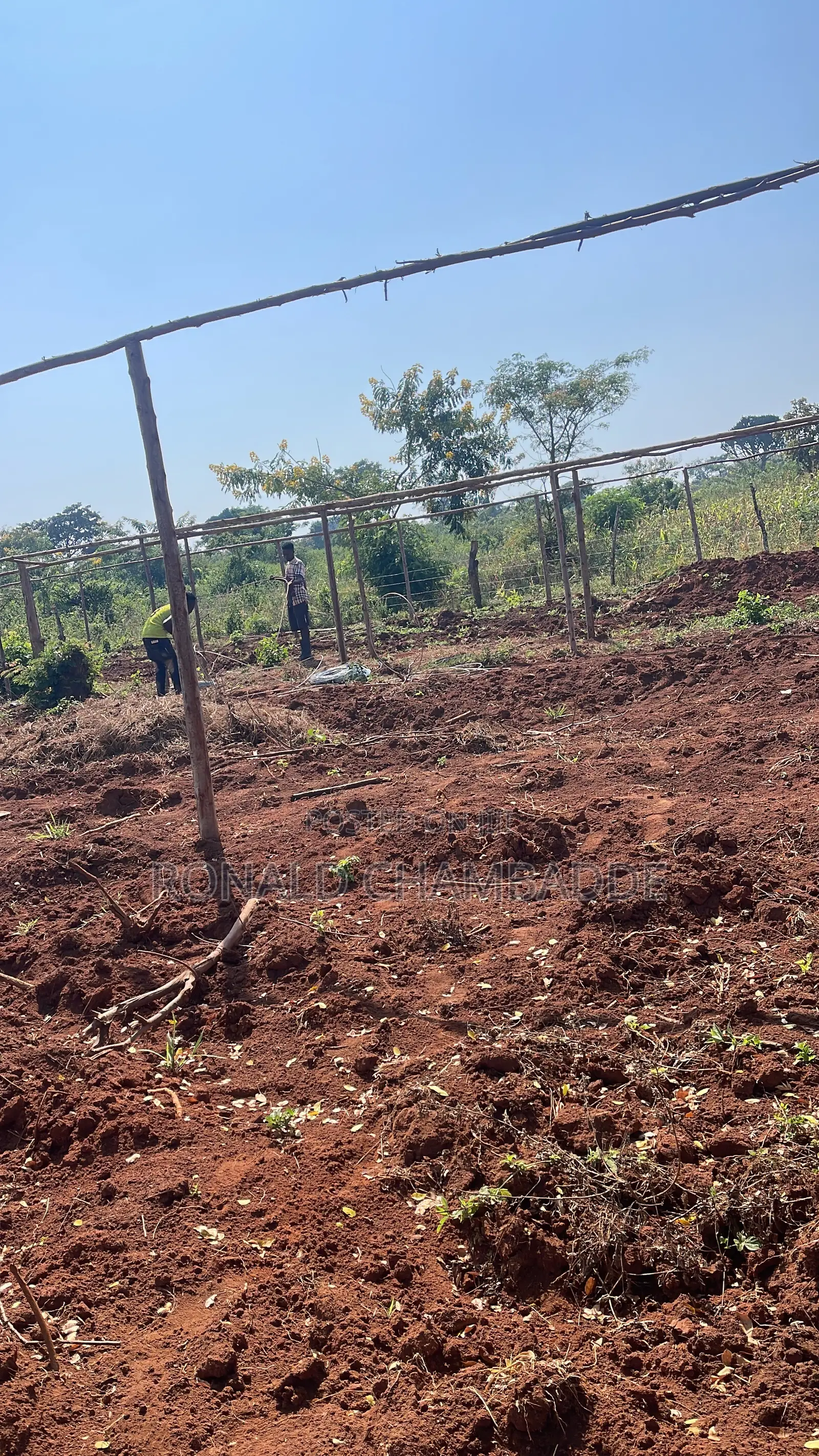 3 Titled Acres for Sale in Baale Kayunga
