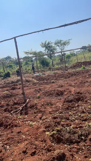 3 Titled Acres for Sale in Baale Kayunga