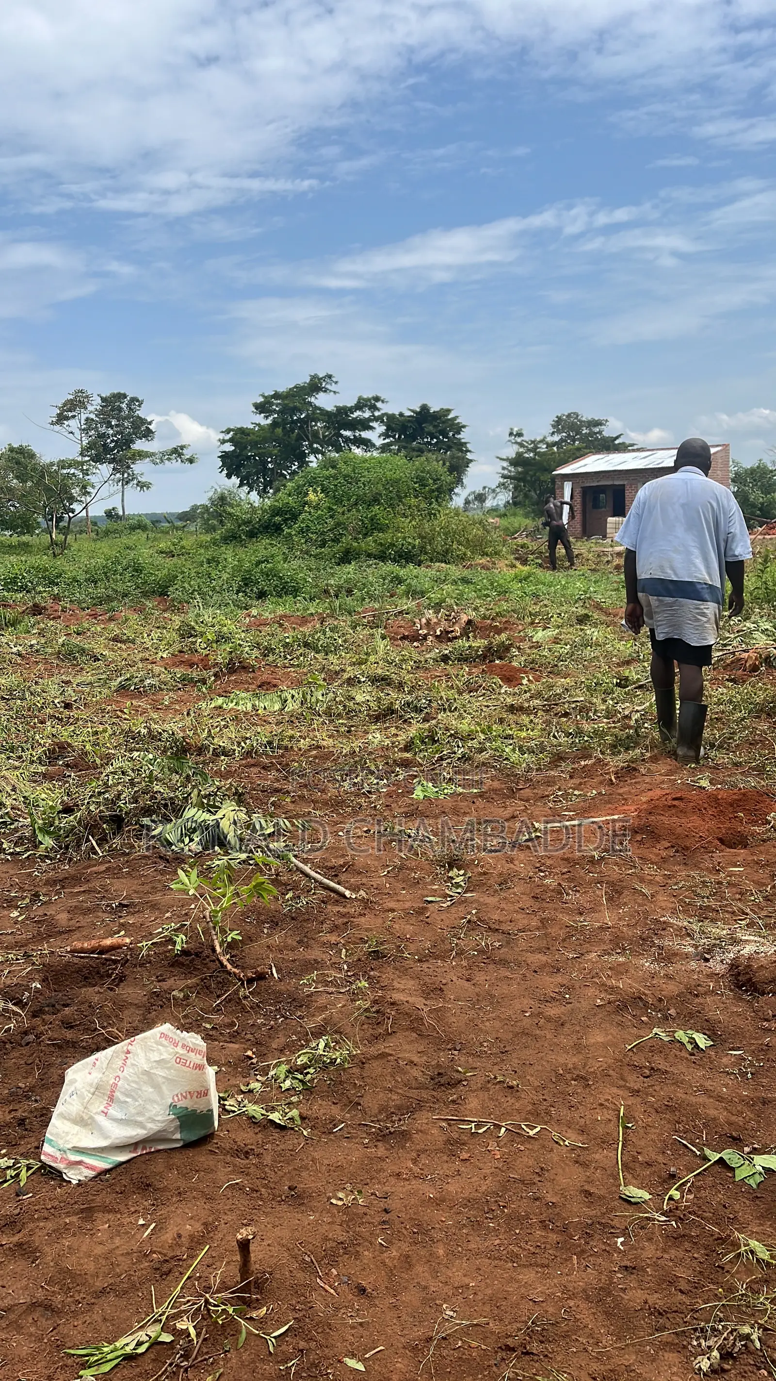 3 Titled Acres for Sale in Baale Kayunga