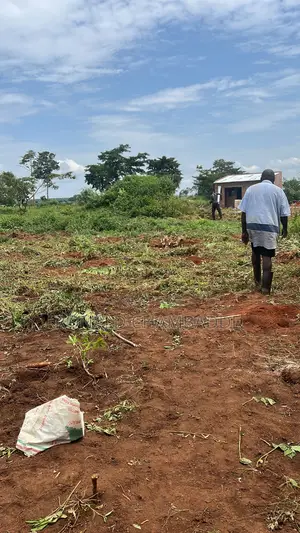 3 Titled Acres for Sale in Baale Kayunga