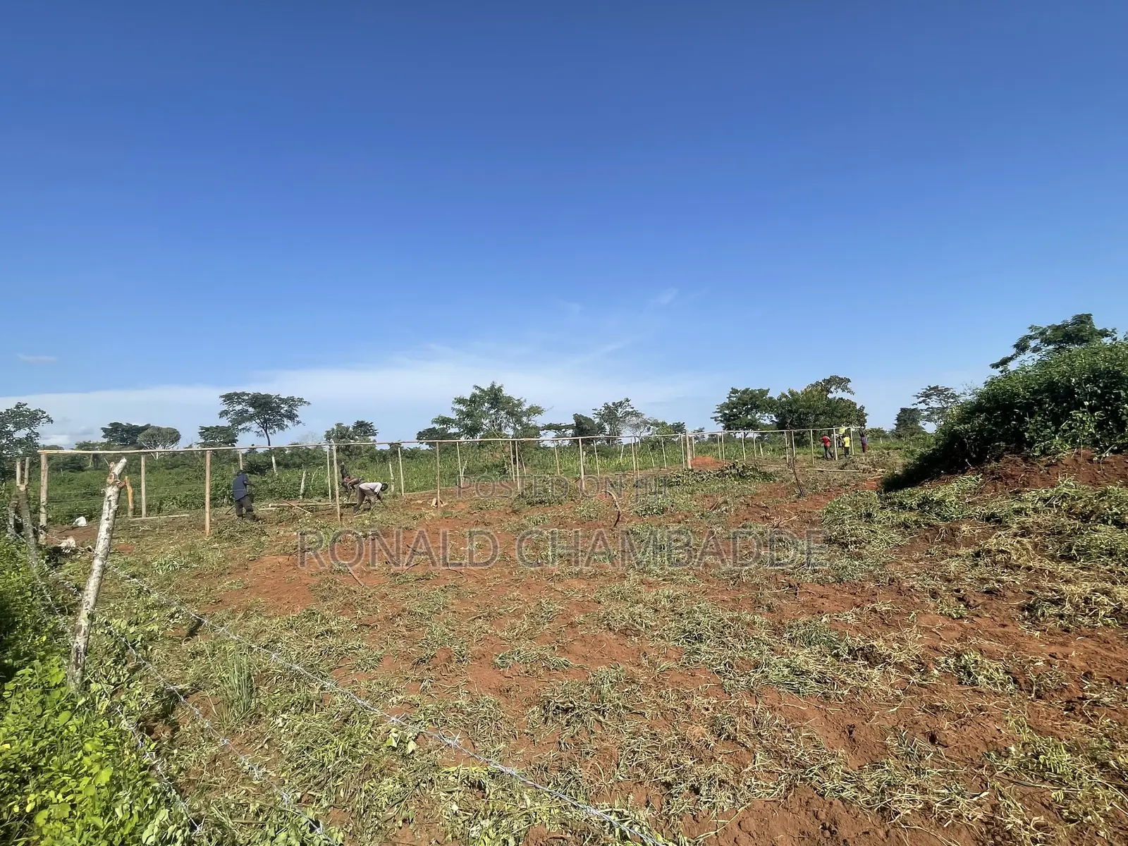 3 Titled Acres for Sale in Baale Kayunga