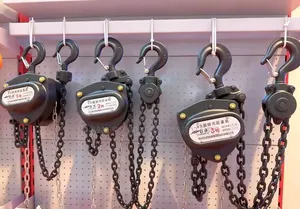 Chain Block/ Chain Hoist 2ton