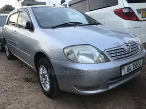 Toyota Allex 2006 Silver