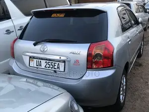 Toyota Allex 2006 Silver