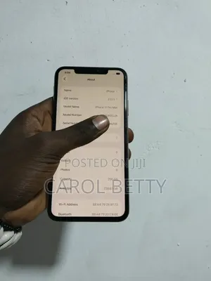 Apple iPhone 11 Pro Max 256 GB Gray