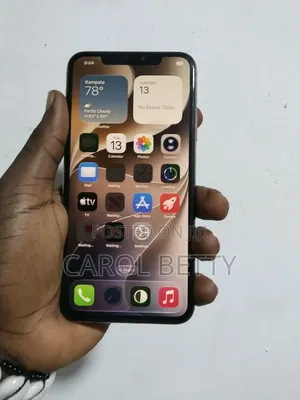 Apple iPhone 11 Pro Max 256 GB Gray
