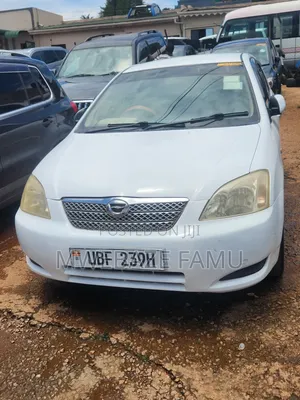 Toyota Allex 2006