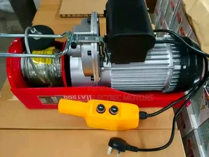 Electric Hoist 1000kgs