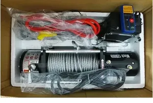 Electric Hoist 1000kgs