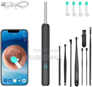 Wireless Visual Earpick / Ear Wax Remover With an HD Camera.