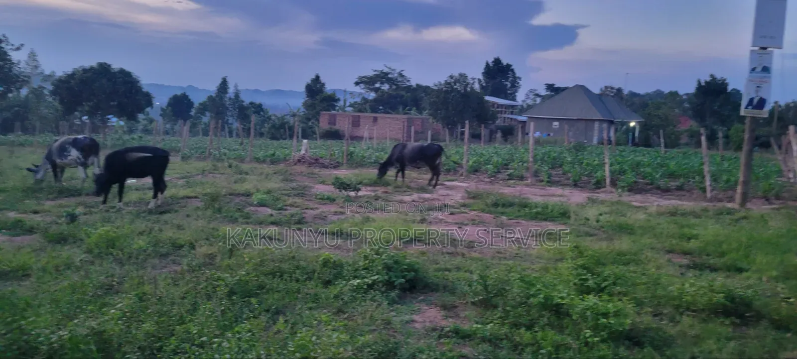 Mount Olvies High-School Estate