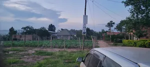 Wakiso Bukalango