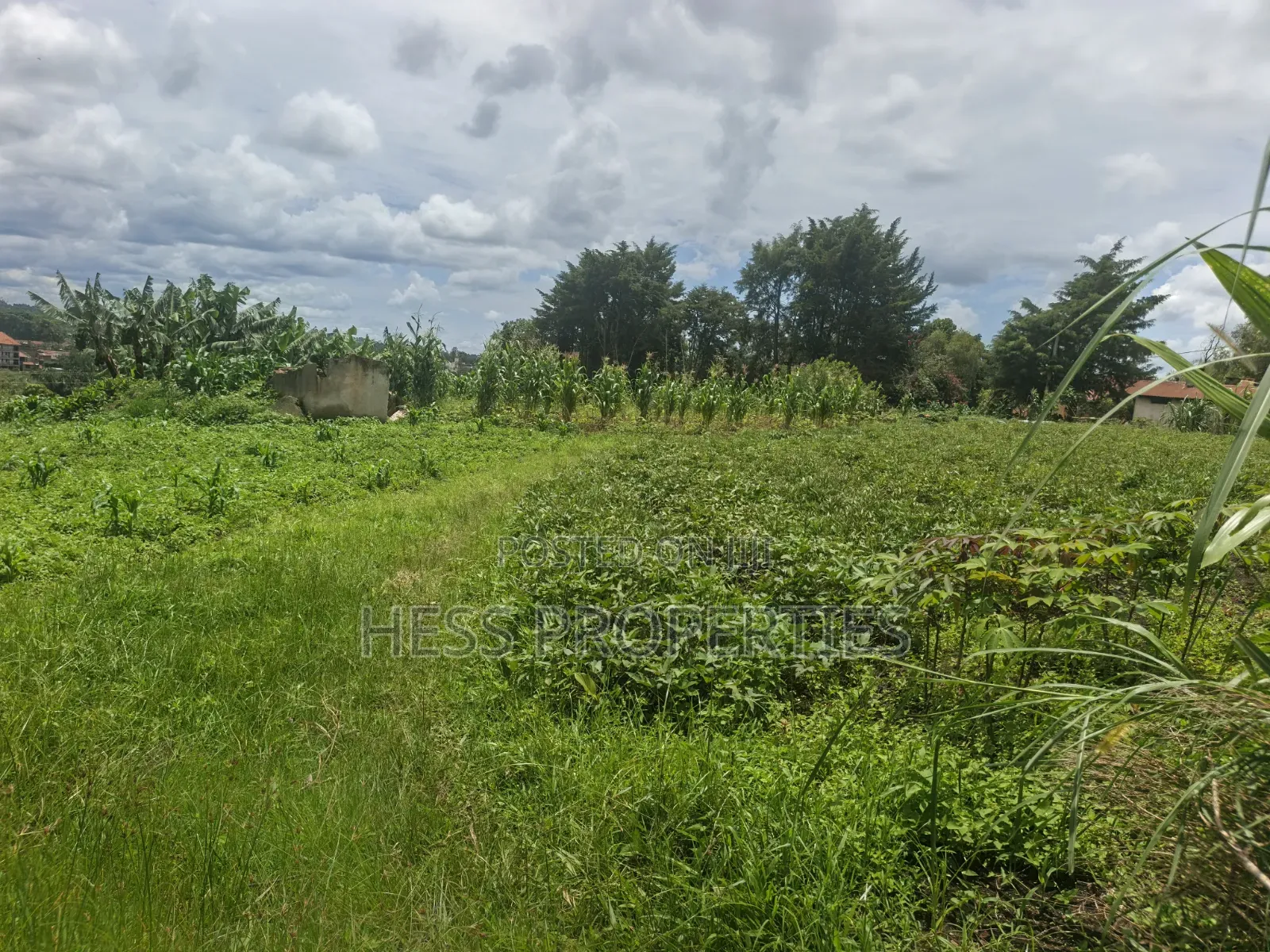 One Acre of Commercial Land on Sale in Fort Portal City