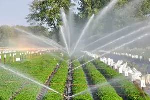 Overhead Sprinkler Irrigation System