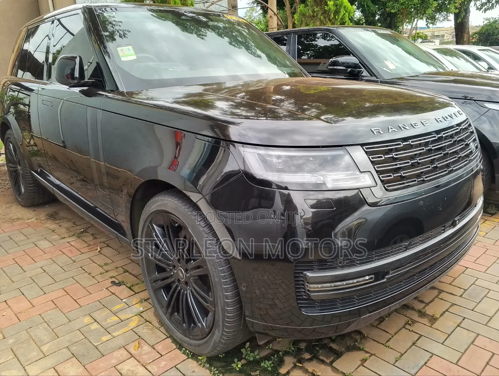 New Rover Vitesse 2023 Green