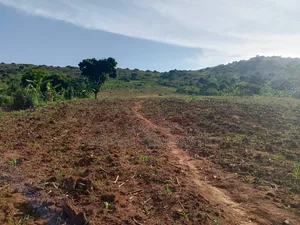 10 Acres of Land in Kikakanya Nkokonjeru Buikwe W/T Lake Victoria View