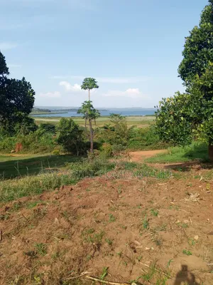 10 Acres of Land in Kikakanya Nkokonjeru Buikwe W/T Lake Victoria View