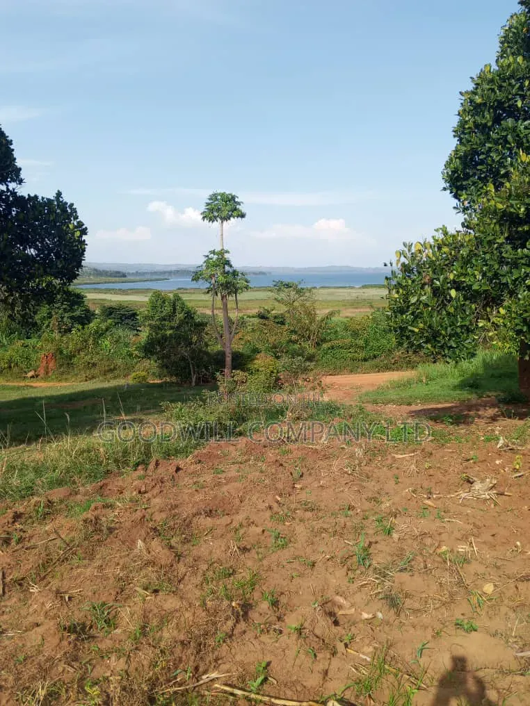 10 Acres of Land in Kikakanya Nkokonjeru Buikwe W/T Lake Victoria View