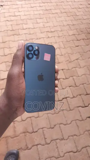 Apple iPhone 12 Pro 256 GB Gray