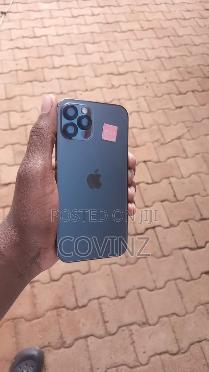 Apple iPhone 12 Pro 256 GB Gray