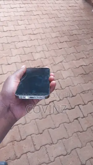 Apple iPhone 12 Pro 256 GB Gray