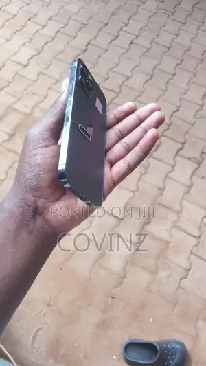 Apple iPhone 12 Pro 256 GB Gray