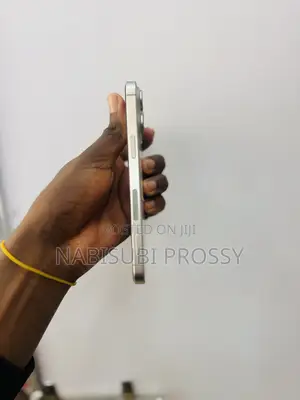 Apple iPhone 15 Pro Max 256 GB Gray