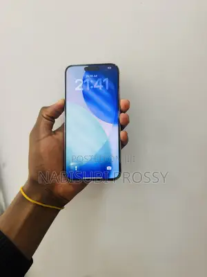 Apple iPhone 15 Pro Max 256 GB Gray
