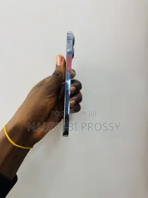 Apple iPhone 13 Pro Max 256 GB Blue