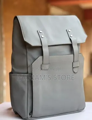 Casual and Laptop Backpack