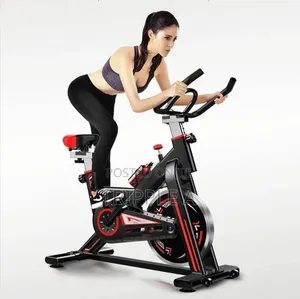 Indoor Cycling Exercise Bike