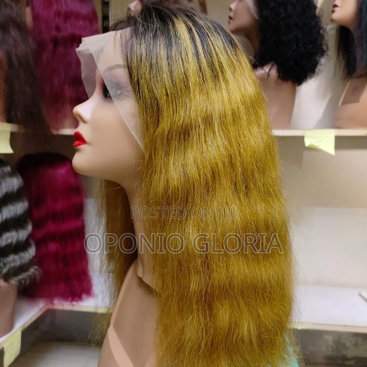 The Human Hair Wig at Affordable Price